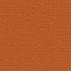 Burnt Orange