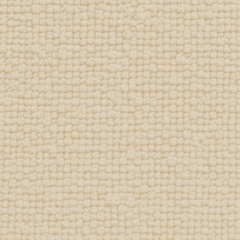 Cream Beige