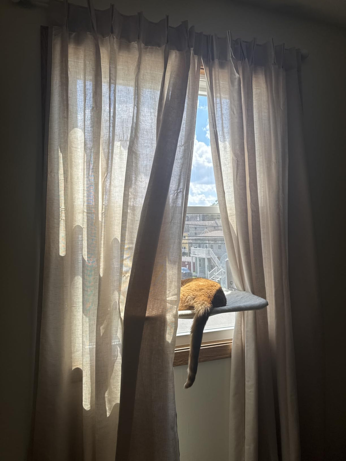 Perfect curtains for me!
