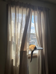 Perfect curtains for me!